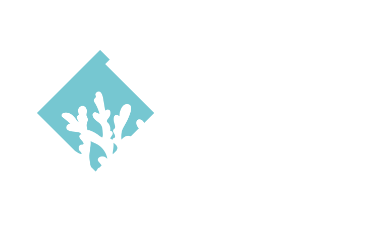 BLUE STRUCTURE-LOGOTIPO white