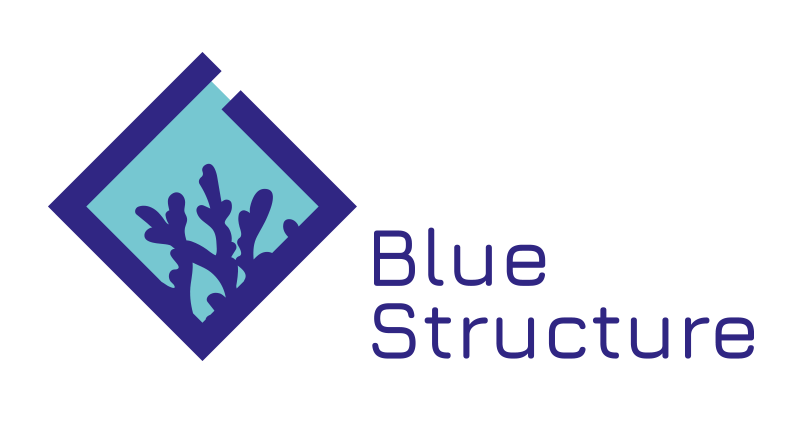 blue structure logo
